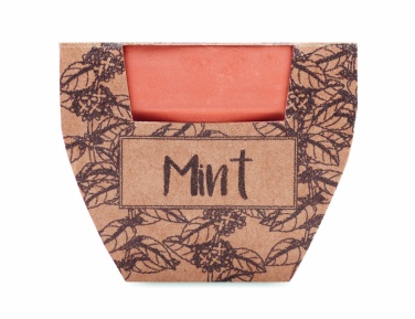 Logotrade promotional products photo of: Terracotta pot mint seeds